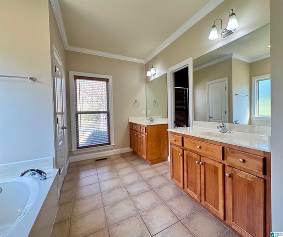 349 DEER RIDGE LANE, Chelsea, AL 35043