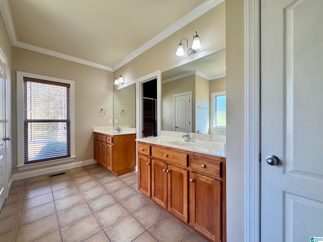 349 DEER RIDGE LANE, Chelsea, AL 35043