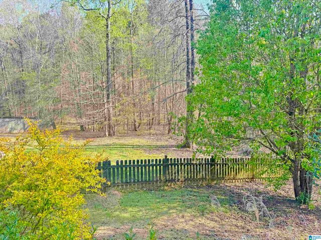 349 DEER RIDGE LANE, Chelsea, AL 35043