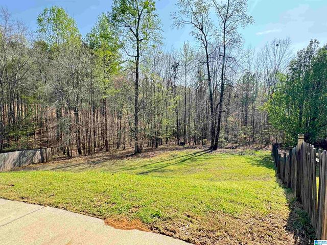 349 DEER RIDGE LANE, Chelsea, AL 35043