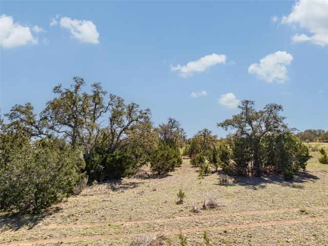 1440 Stone Ridge Mountain DR, Round Mountain, TX 78663