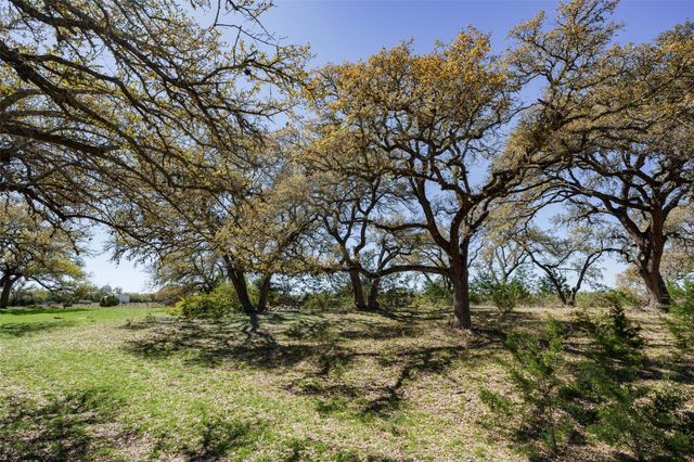 1440 Stone Ridge Mountain DR, Round Mountain, TX 78663
