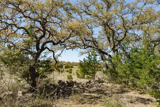 1440 Stone Ridge Mountain DR, Round Mountain, TX 78663