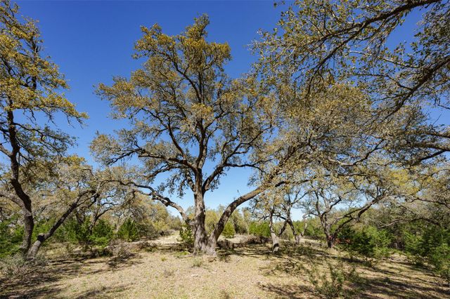 1440 Stone Ridge Mountain DR, Round Mountain, TX 78663