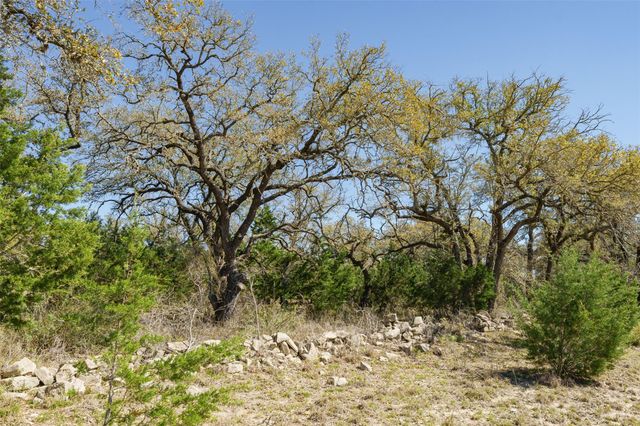 1440 Stone Ridge Mountain DR, Round Mountain, TX 78663