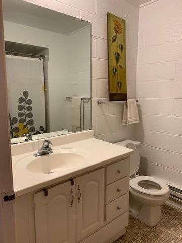 442 S First Street Unit: 6, Ann Arbor, MI 48103