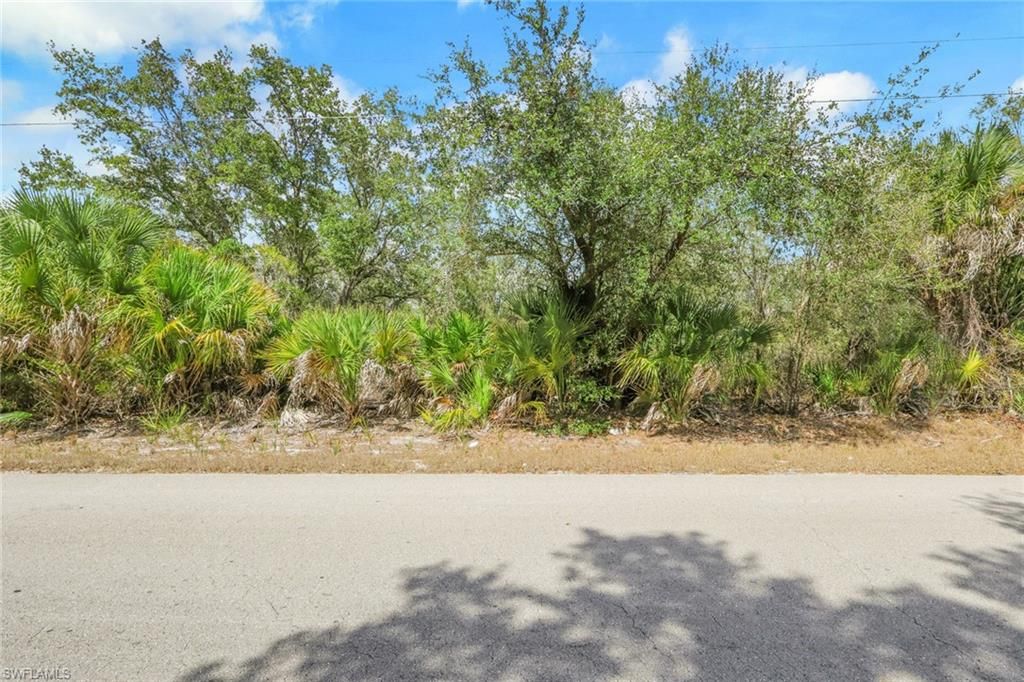 2504 65th ST W, LEHIGH ACRES, FL 33971 — photo 2