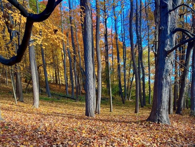 16 Briar Hill Road, Hopewell Junction, NY 12533