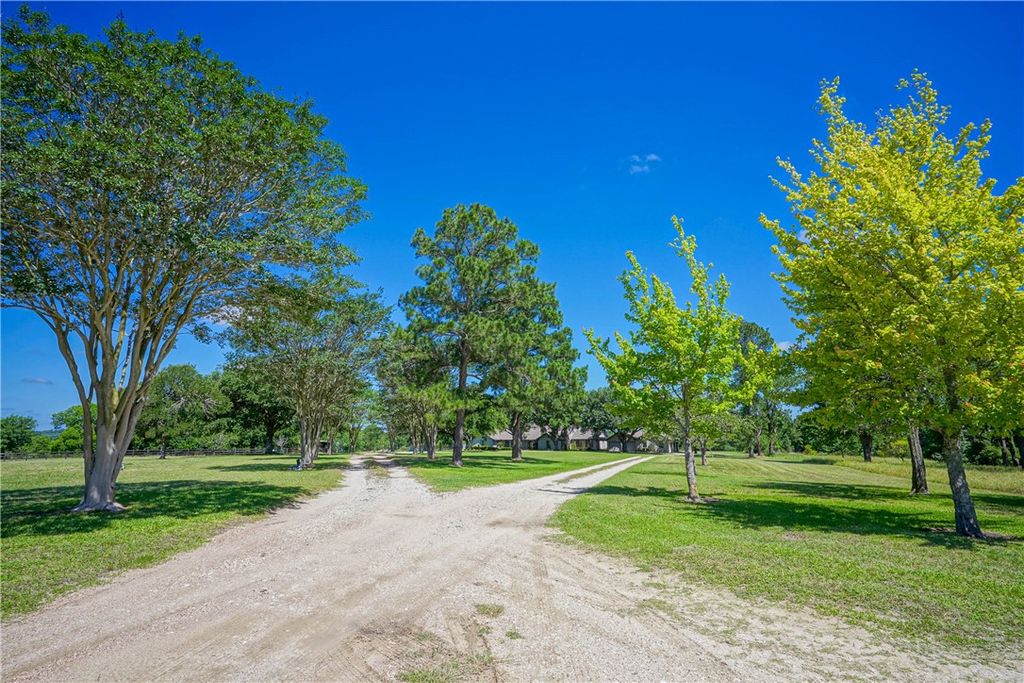 4124 FM 149 Road W, Anderson, TX 77830 — photo 3