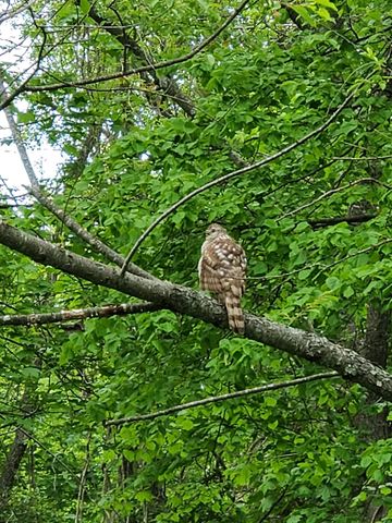 281 Old County Lane, Readsboro, VT 05350