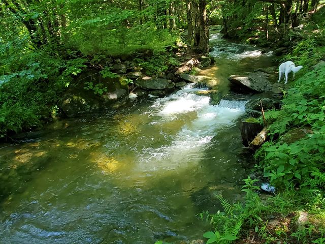 281 Old County Lane, Readsboro, VT 05350