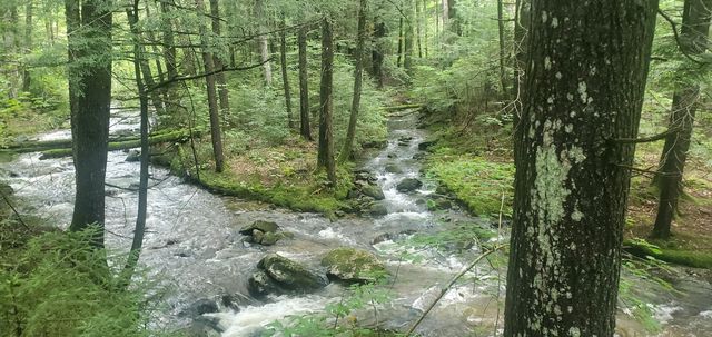 281 Old County Lane, Readsboro, VT 05350