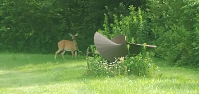 281 Old County Lane, Readsboro, VT 05350