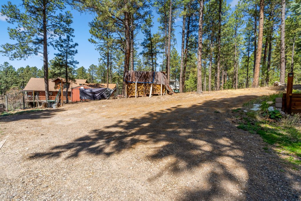 Image 37 of property listing at 187 Trilobite Trail, Jemez Springs, NM 87025