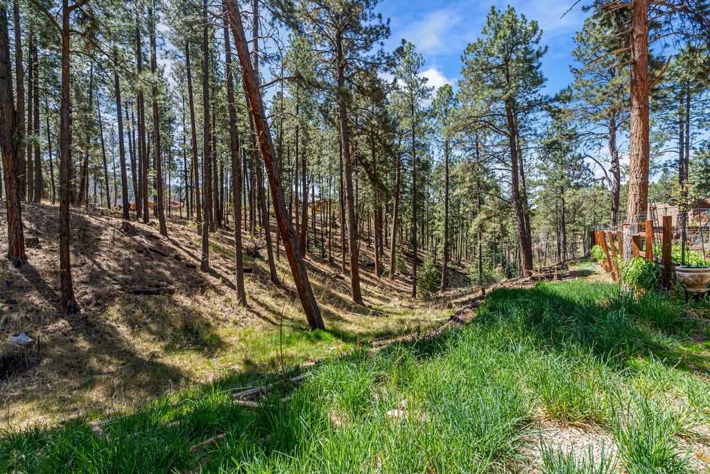 Image 46 of property listing at 187 Trilobite Trail, Jemez Springs, NM 87025