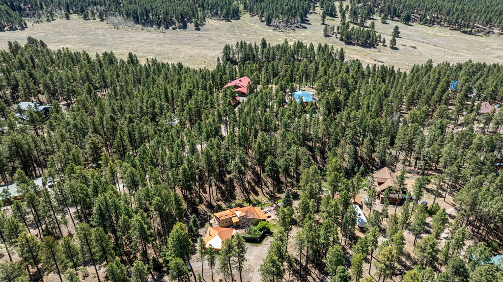 Image 53 of property listing at 187 Trilobite Trail, Jemez Springs, NM 87025
