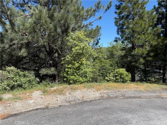 30029 Enchanted, Running Springs, CA 92382