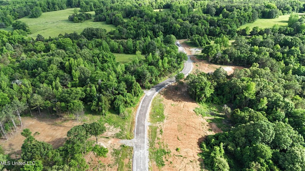 2 Tyro Branch Cove, Senatobia, MS 38668 — photo 3
