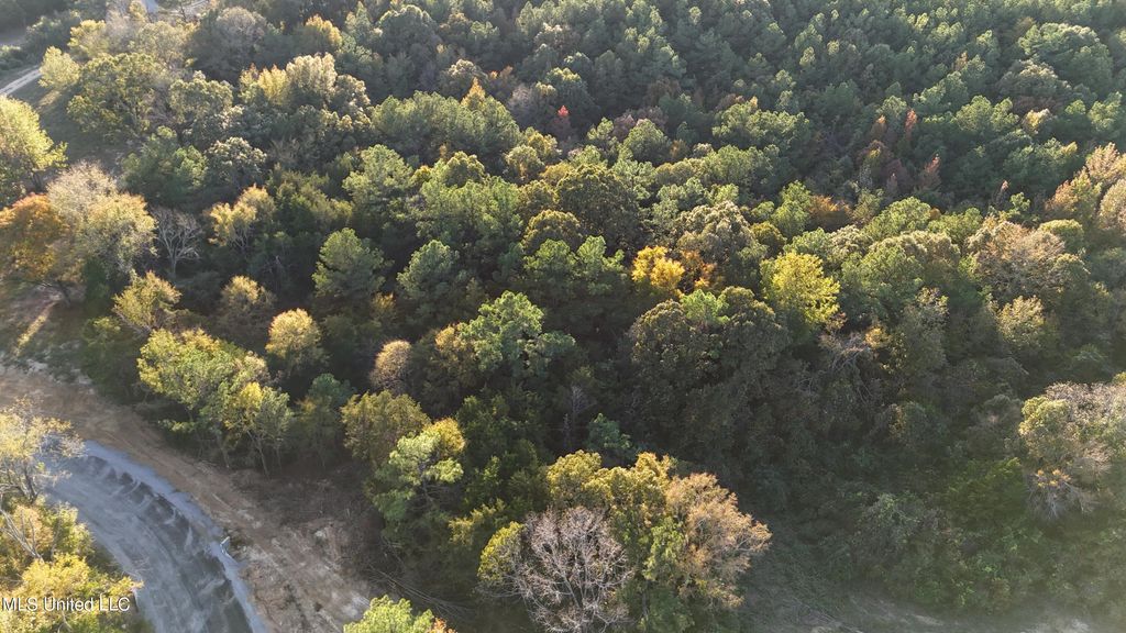 2 Tyro Branch Cove, Senatobia, MS 38668 — photo 5