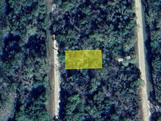 0 Wynne Road, Trinity, TX 75862