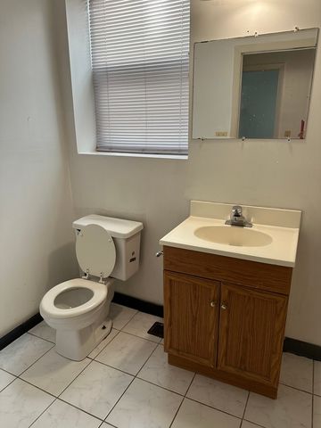 847 S Miller Street, Chicago, IL 60607