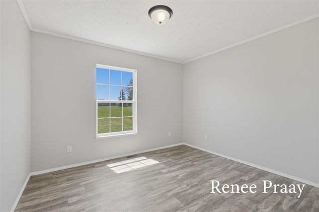 13241 Wabasis, Cedar Springs, MI 49319