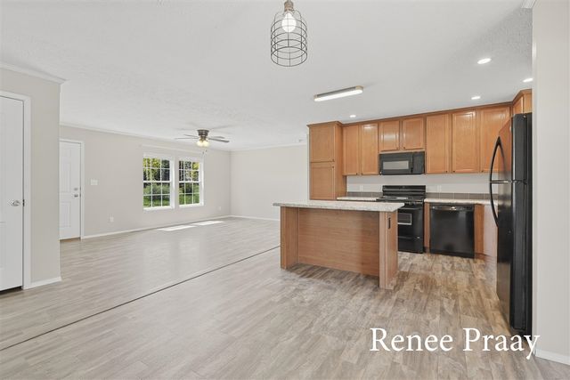 13241 Wabasis, Cedar Springs, MI 49319
