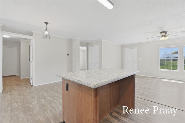 13241 Wabasis, Cedar Springs, MI 49319