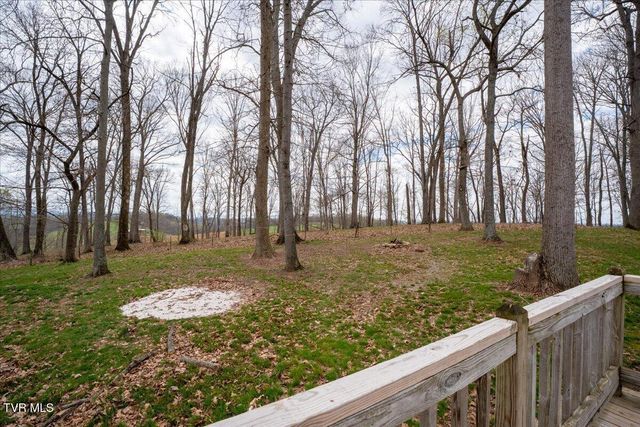 257 Wesley Drive, Piney Flats, TN 37686