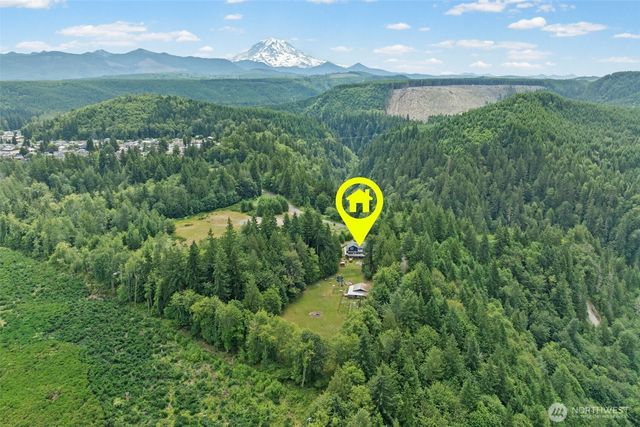 19515 AP Tubbs Road E, Carbonado, WA 98323
