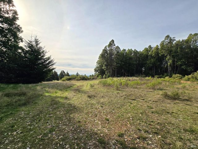 36955 Eureka Stagecoach Rd, Willits, CA 95490