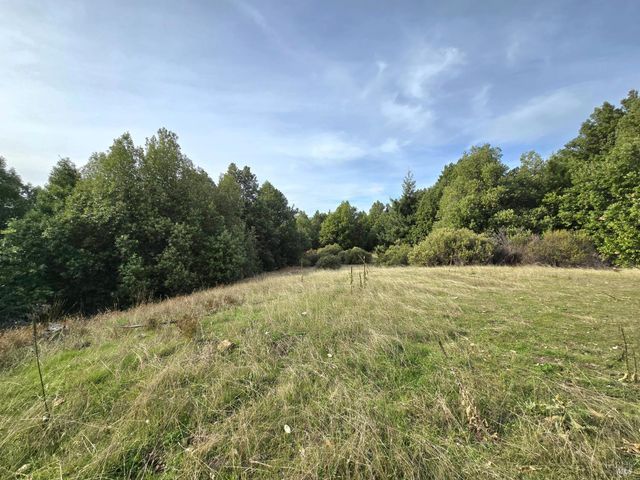 36955 Eureka Stagecoach Rd, Willits, CA 95490