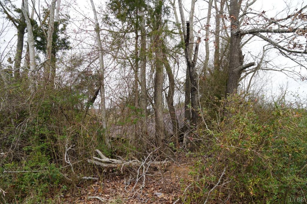 1225 Tobacco Road, Nathalie, VA 24577