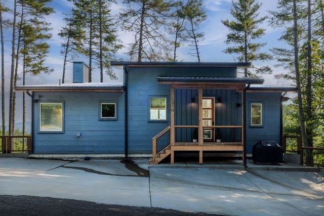71 Laurel Creek Way, Blue Ridge, GA 30513
