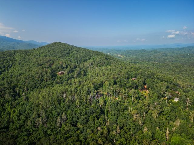 71 Laurel Creek Way, Blue Ridge, GA 30513