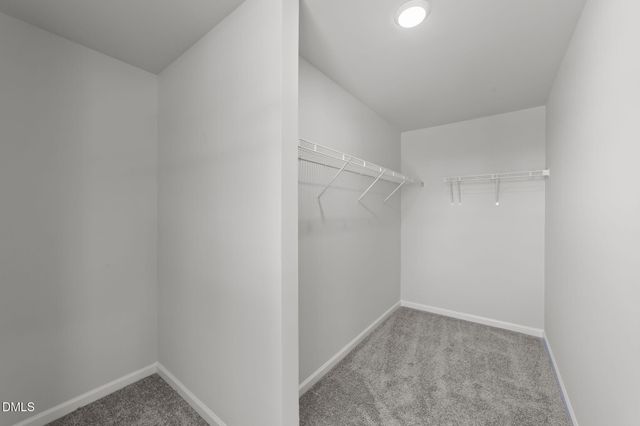 264 Fosterton Cottage Way, Garner, NC 27603