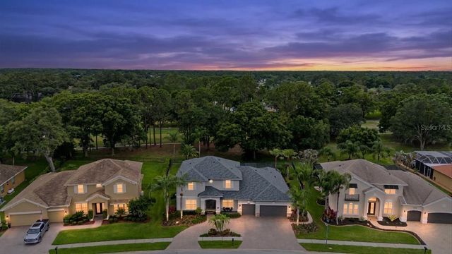 12422 EAGLES ENTRY DRIVE, Odessa, FL 33556