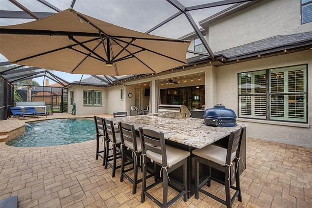 12422 EAGLES ENTRY DRIVE, Odessa, FL 33556