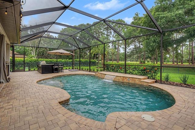 12422 EAGLES ENTRY DRIVE, Odessa, FL 33556