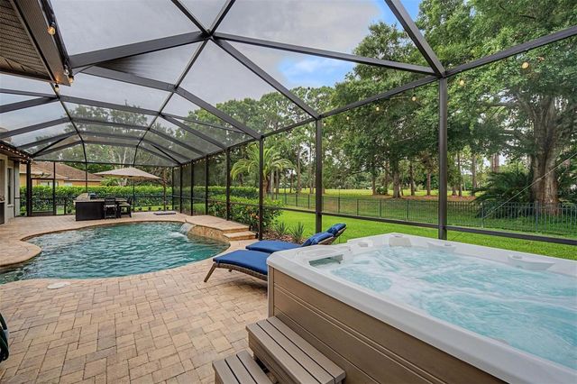 12422 EAGLES ENTRY DRIVE, Odessa, FL 33556