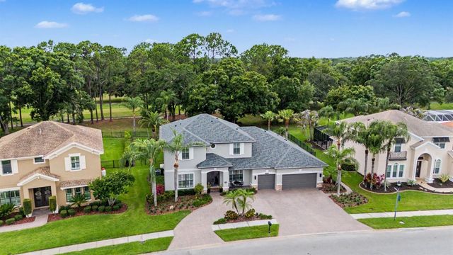 12422 EAGLES ENTRY DRIVE, Odessa, FL 33556