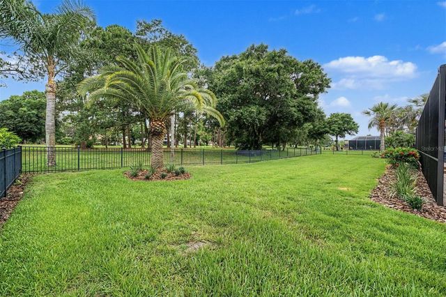 12422 EAGLES ENTRY DRIVE, Odessa, FL 33556