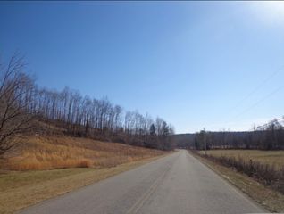 210 Tennessee Ridge Rd, Waverly, TN 37185