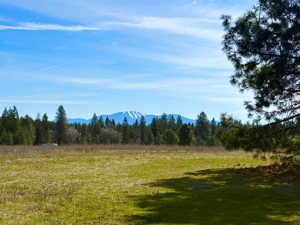 280 Brook Dr, Elk, WA 99009 photo 3