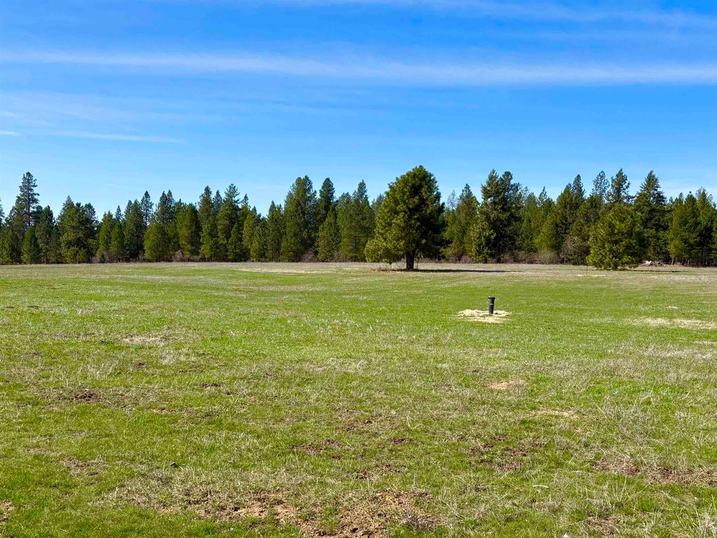 280 Brook Dr, Elk, WA 99009 photo 4