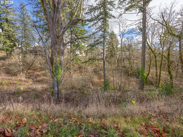 4701 Se ASCENSION Dr, Camas, WA 98607