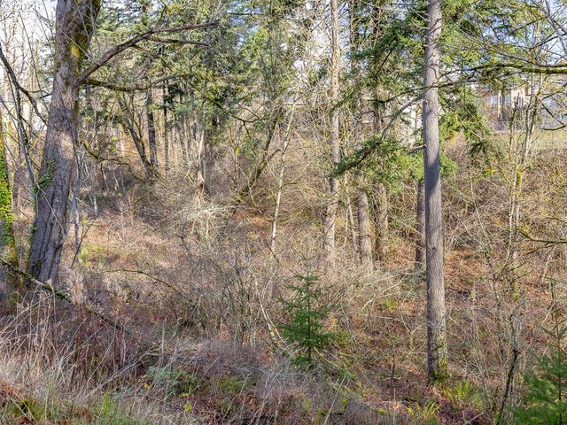 4701 Se ASCENSION Dr, Camas, WA 98607