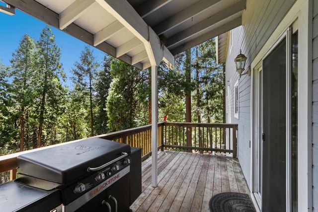 18980 Circle View Dr, Pioneer, CA 95666