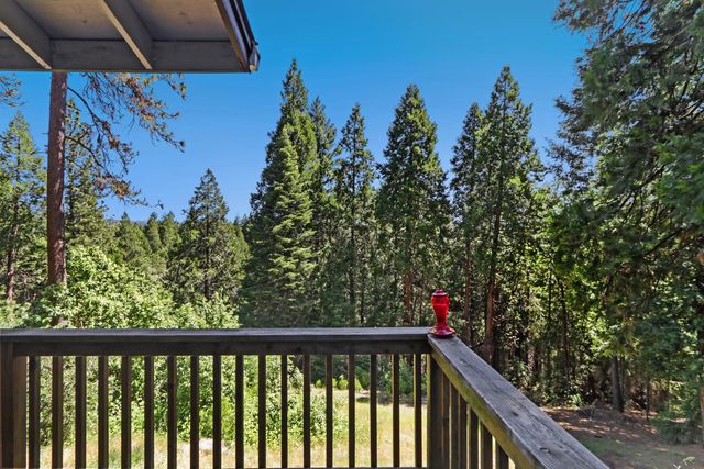 18980 Circle View Dr, Pioneer, CA 95666