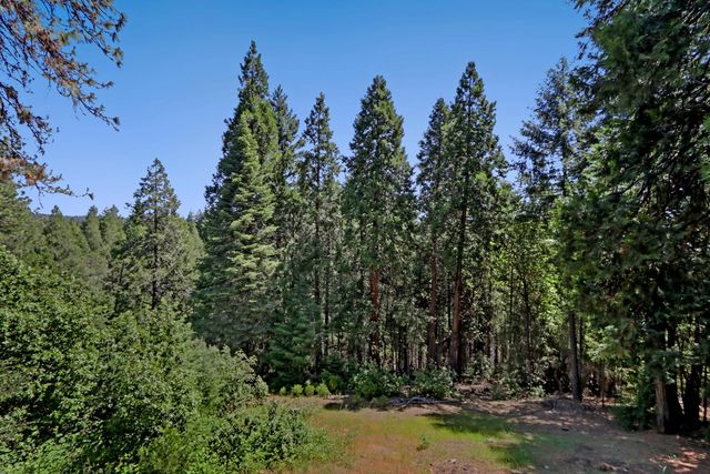 18980 Circle View Dr, Pioneer, CA 95666